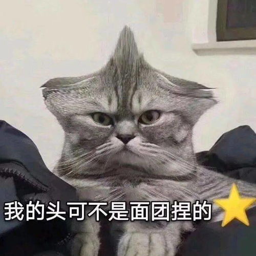 沙雕表情做只废物挺好的