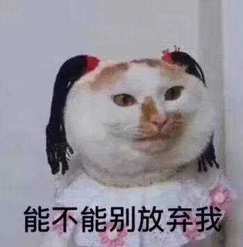 表情橘子味的大甜瓜的想法现在的小老弟都咋回事每天的私信十表情