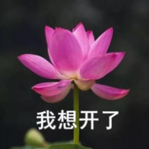 做爱之前,所有男性都需要学会这件事