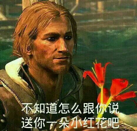 那些刺客信条的沙雕表情包