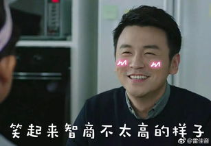 这样又贱又萌的雷佳音,我真的好喜欢