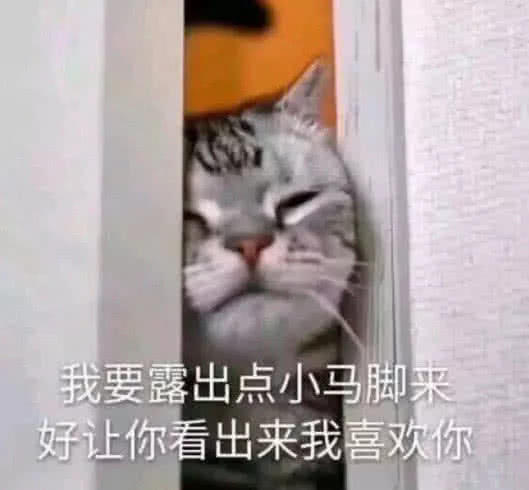 5张坏坏的表情包,情人表白专用,屡次脱单就靠它