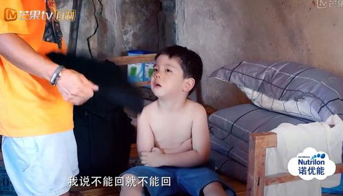 一条小团团表情包大全搭讪