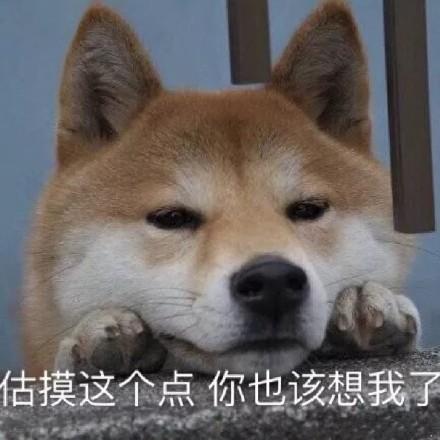 斗图表情包合集你这个卑鄙的美女