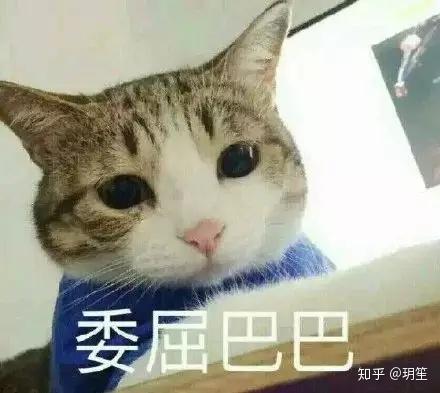 8款洗衣液对比测试洗得干净还省力,选哪款洗衣液