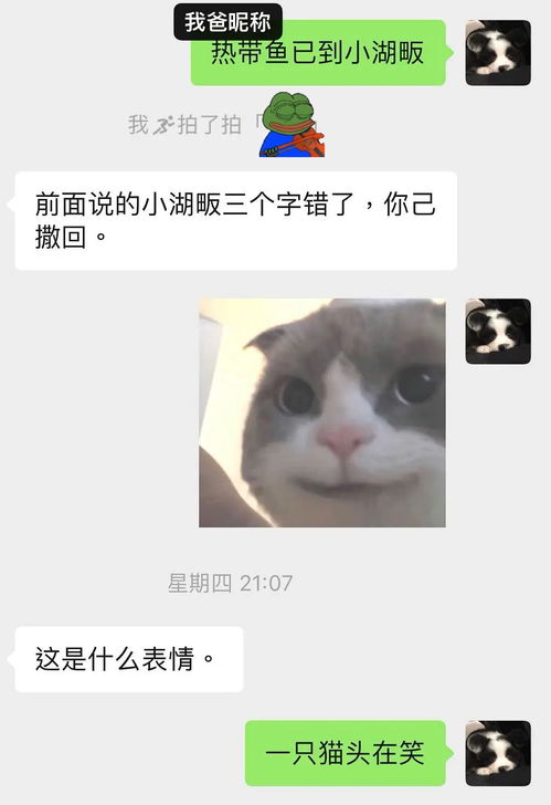 爷爷总爱阅读理解我的表情包