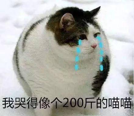 没有苏大强,整个人都不好了