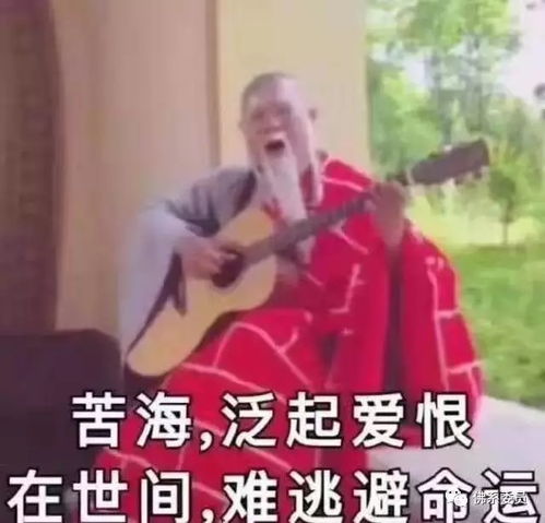 2019年支付宝年度账单出炉我差点厥过去,青岛人快看看
