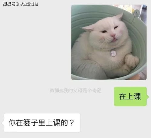 千万不要和爸妈发表情包,实在太危险了哈哈哈