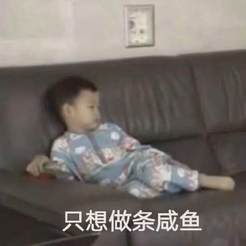 沙雕怼人专用斗图表情包大全