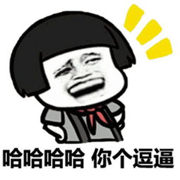 表情包你不会是不知火舞的弟弟,不知好歹吧