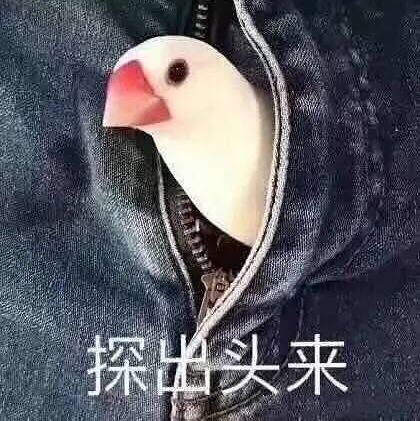 个人20砖