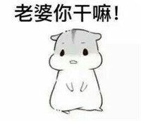 仓鼠夫妻