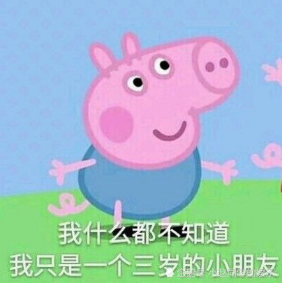 小猪佩奇的表情包火了,张嘴的那一刻特有画面感,网友我保存了