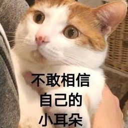 相信自己表情包相信自己微信表情包相信自己qq表情包发表情fabiaoqing.com