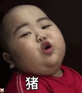 印尼小胖子表情包第二弹,还不点进来保存
