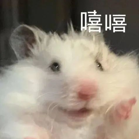 平价又惊艳的真爱防晒霜,拿好不谢