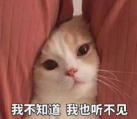 成都开个咖啡店怎么办理