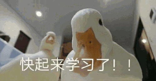 对不起表情包抱歉