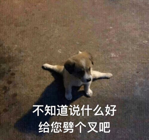 求解答的表情包图片基因变异