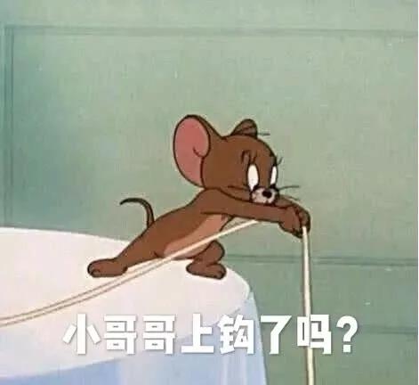 热门表情包丨脱单必备,我只能帮你到这了