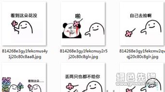 送花花表情包送花花图片v2017完整版软件下载