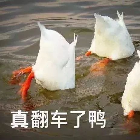 一小轿车翻了个底朝天监控曝光后,网友惊叹闪瞎了眼
