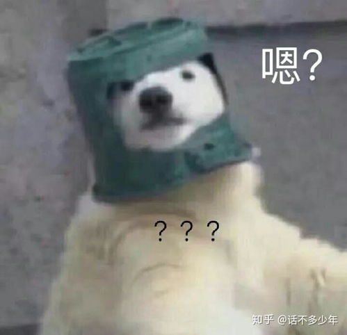 中国乔丹败诉你死磕的样子,真可笑