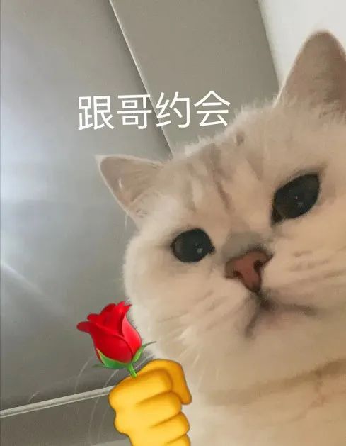 表情包不哭,哥有糖