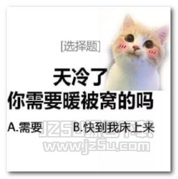 快到床上来表情包